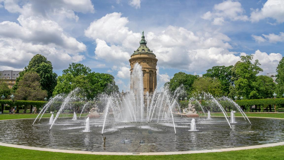Ortskontakt_Mannheim