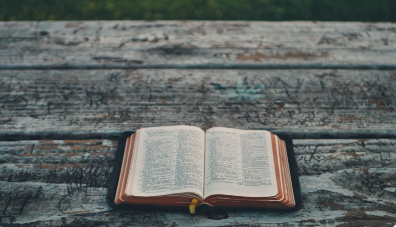 Bibel lesen