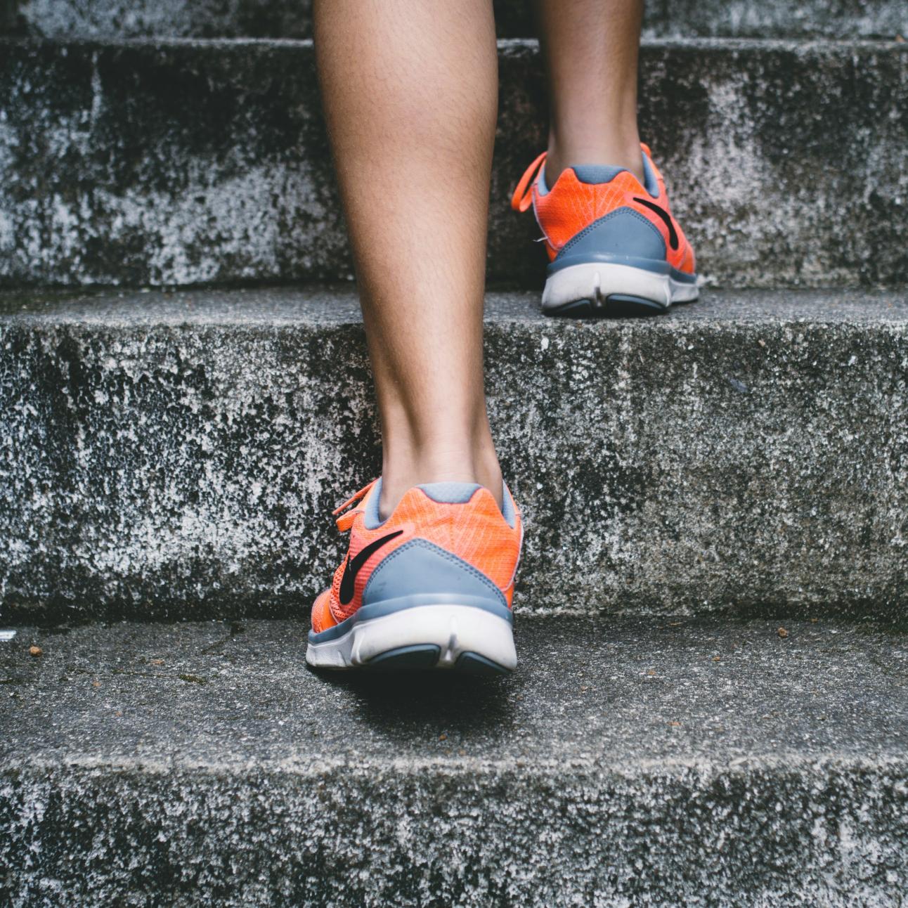 Leiter- und Gründer-Training